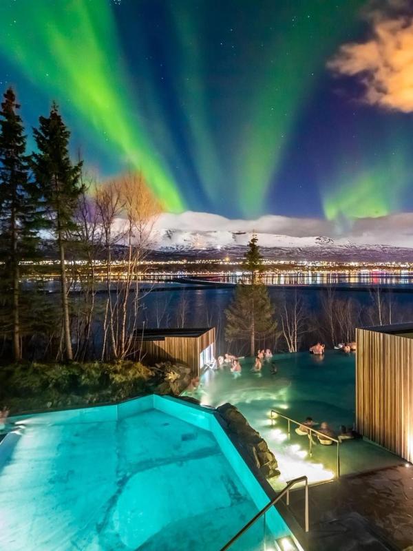 Forest Lagoon durante la aurora boreal