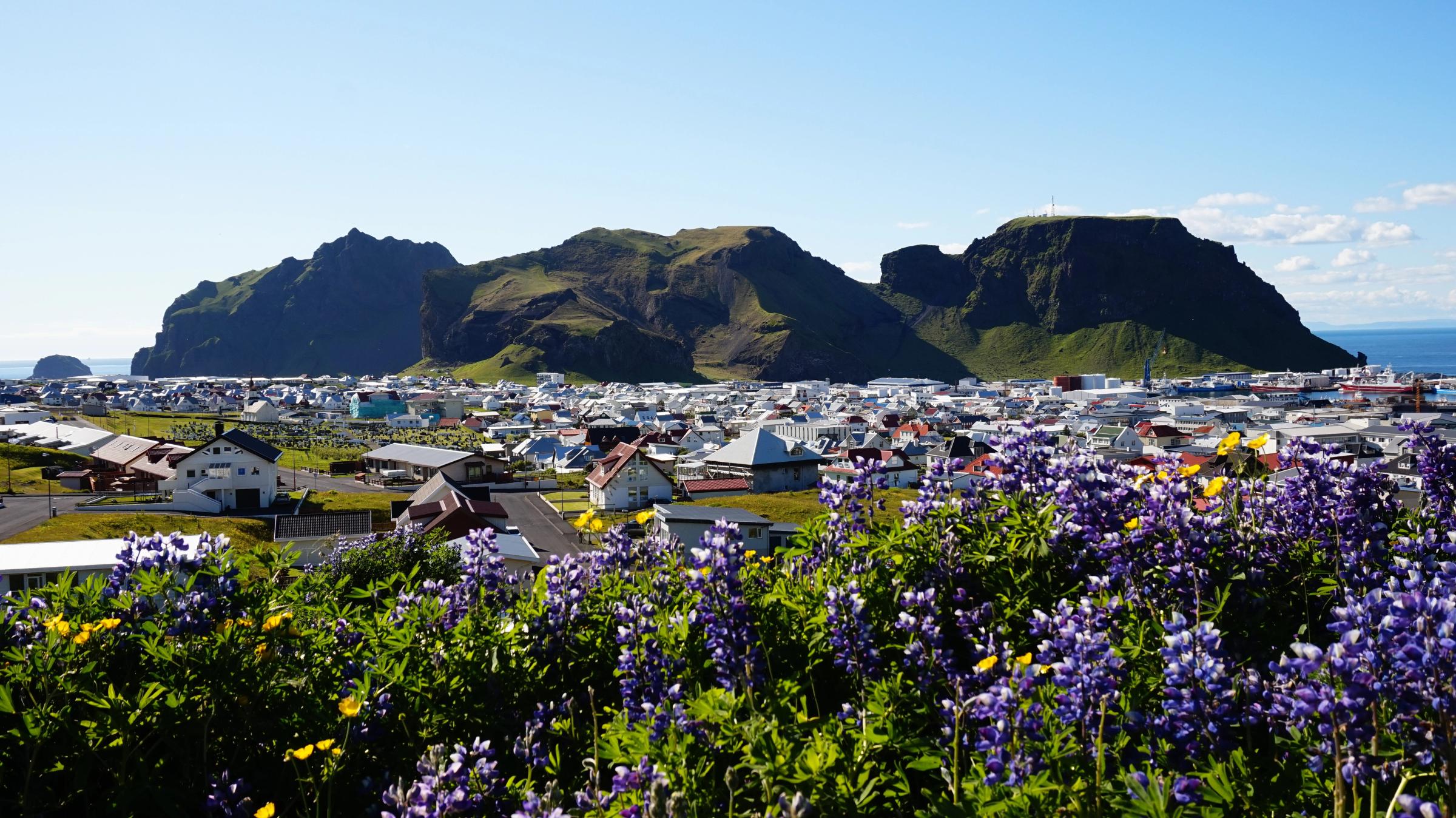 un pueblo en una pequeña isla con flores moradas en primer plano