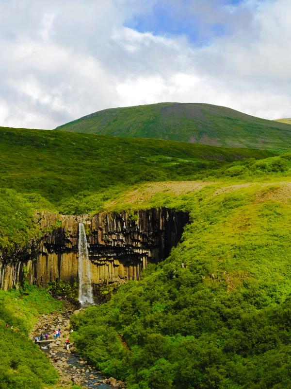 Svartifoss waterfall plunging over dark hexagonal basalt columns in a green valley under a cloudy sky.
