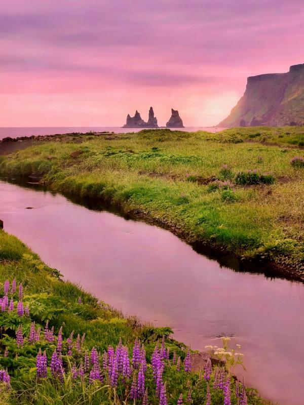Paisaje con un río, flores, y el mar de fondo, todo con una luz rosa en el cielo