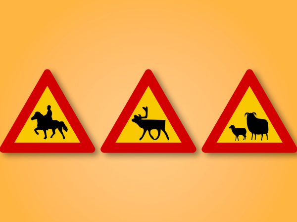 Red and yellow triangle road sign with Animals in the middle. This road sign means Animals on the road ahead