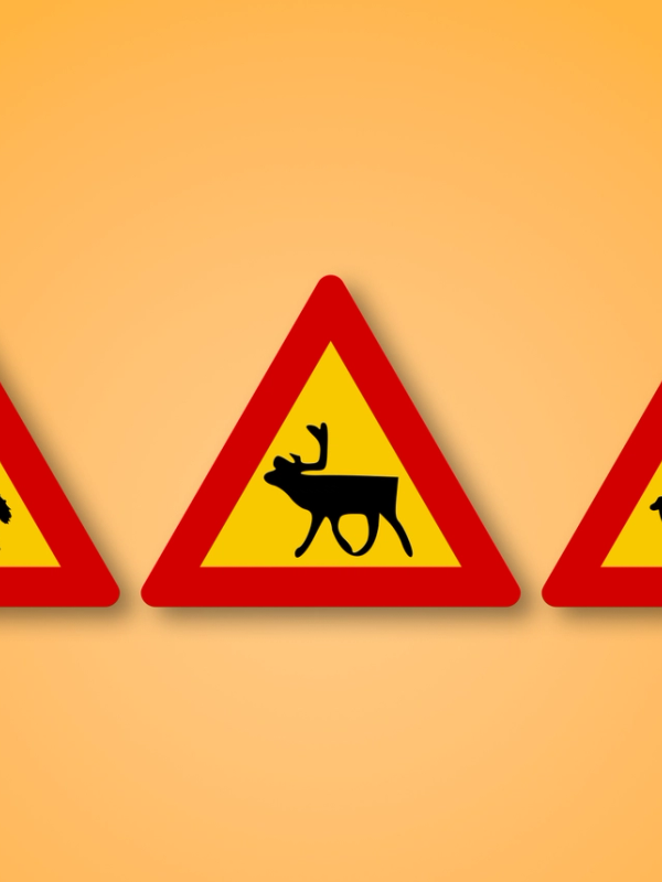 Red and yellow triangle road sign with Animals in the middle. This road sign means Animals on the road ahead