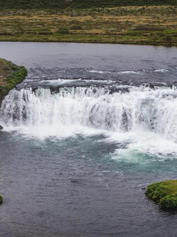 A wide waterfall cascades into a river, with a tiered fish ladder on the left bank and a small grassy island.
