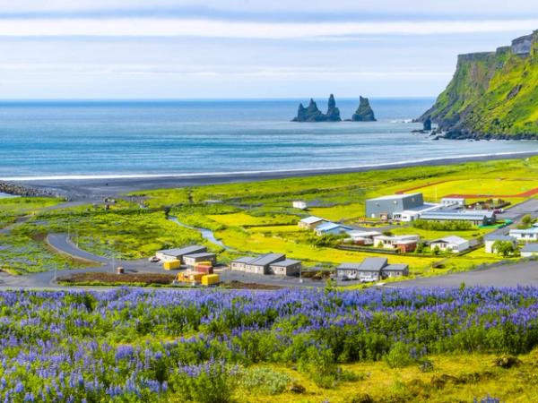 un pueblo costero con la hierba muy verde y flores moradas