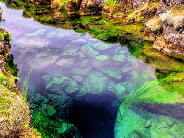 un río que está rodeado de rocas y hierba