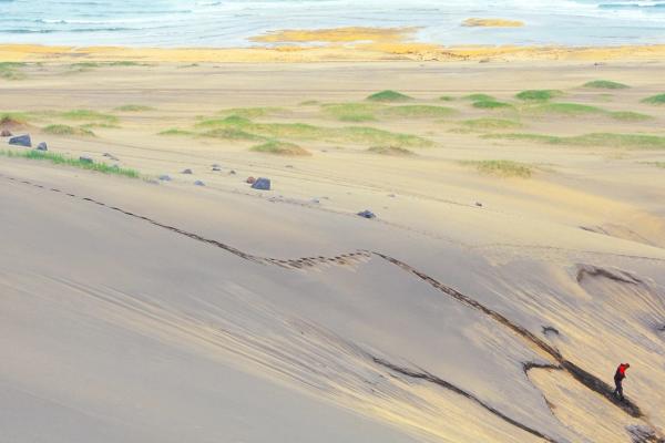a person is standing on top of a sand dune near the ocean .