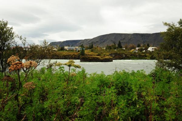 Green foliage in the foreground with a river, a village, and a dark mountain under an overcast sky in the background.
