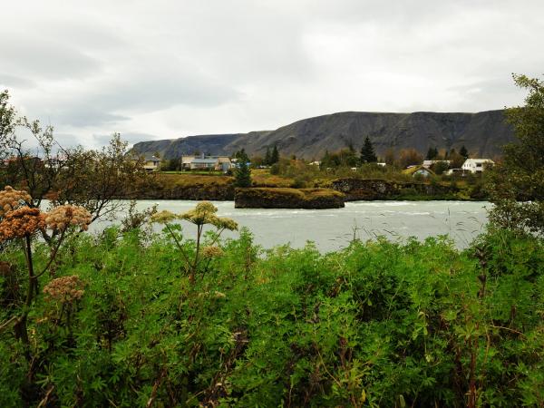 Lush green plants frame a river with a village, dark mountains, and a cloudy sky.