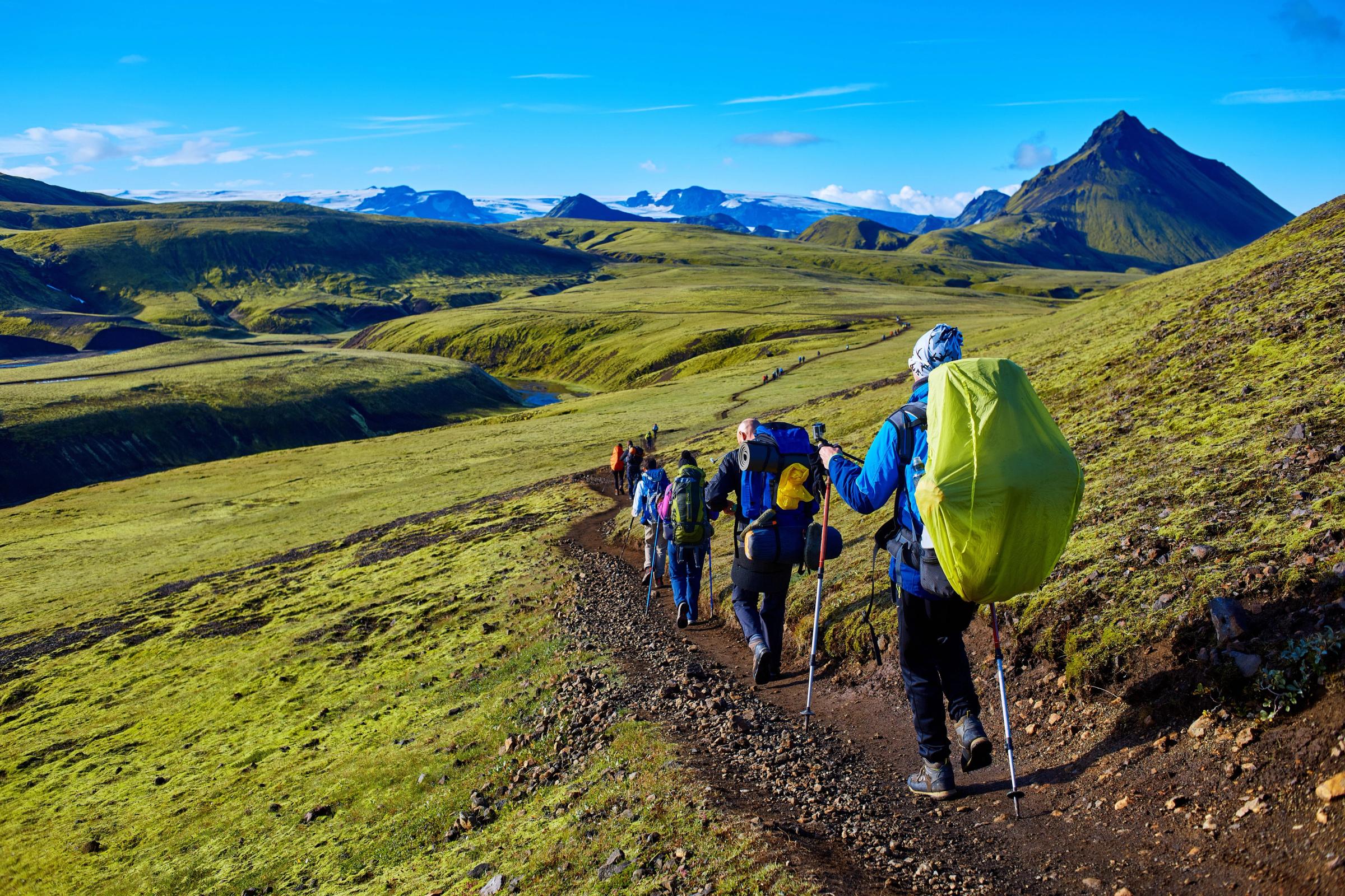 Hikers in the landscapes of iceland 
