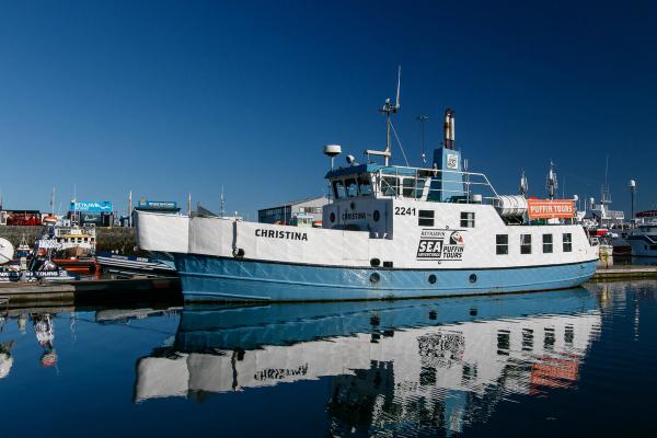 un barco azul y blanco está amarrado en un puerto .