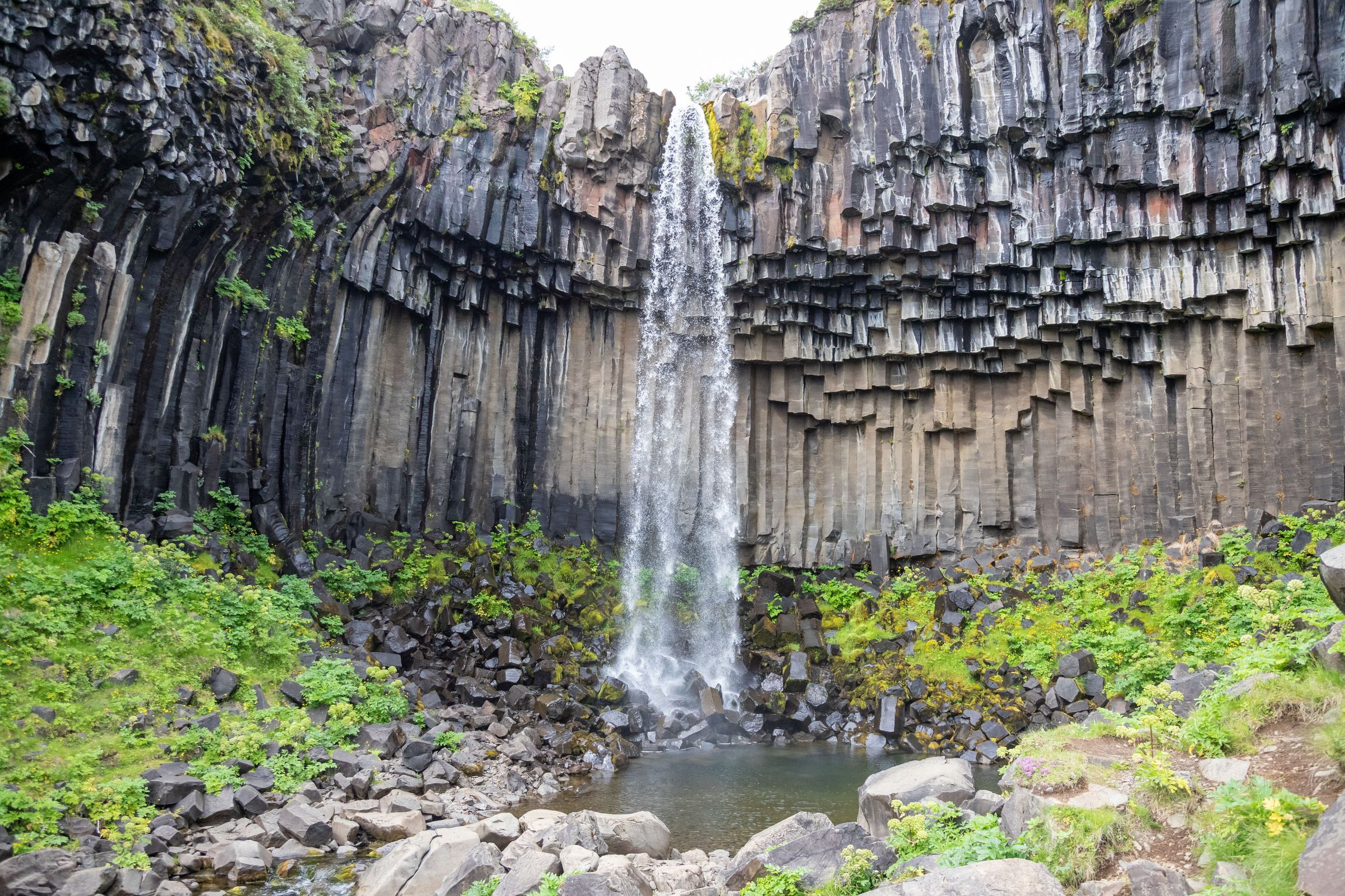 Svartifoss waterfall, Iceland