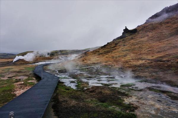 A winding boardwalk leads through a geothermal area with steaming pools and a grassy hill under a cloudy sky.