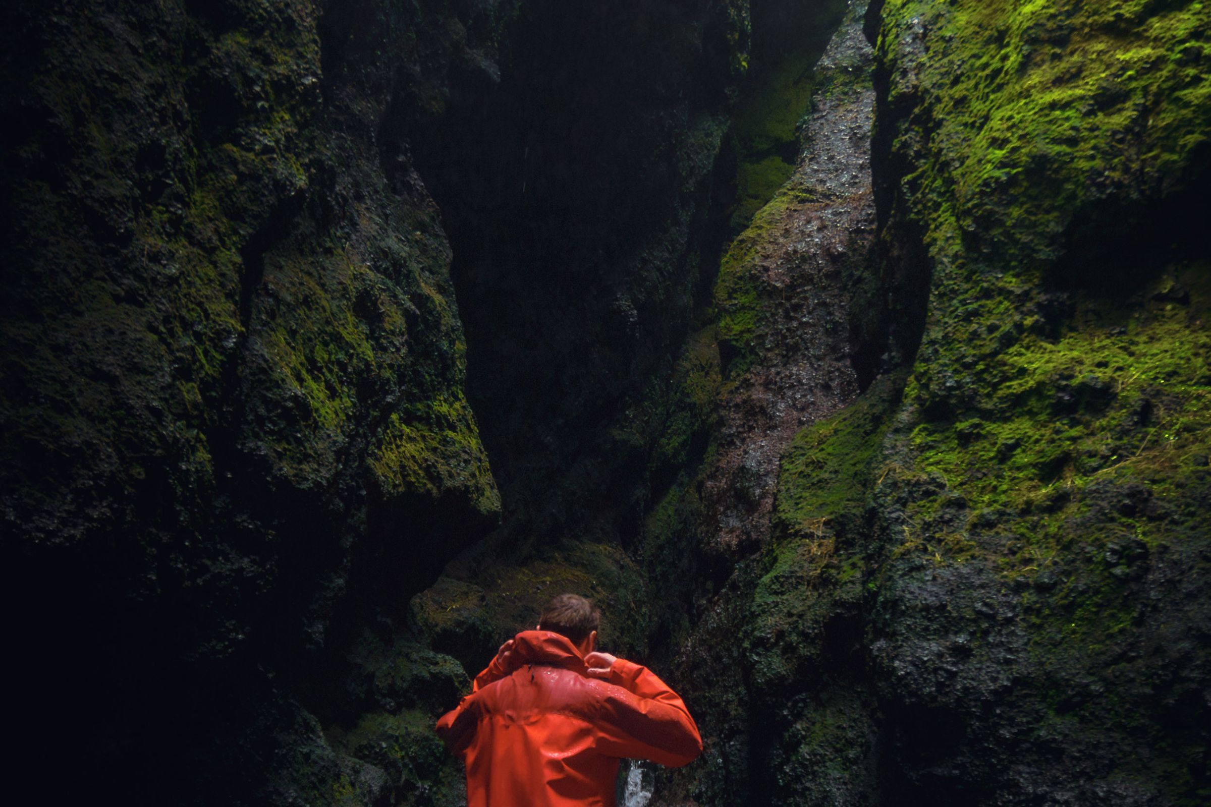 Person in orange jacket looking up in a dark, mossy canyon.