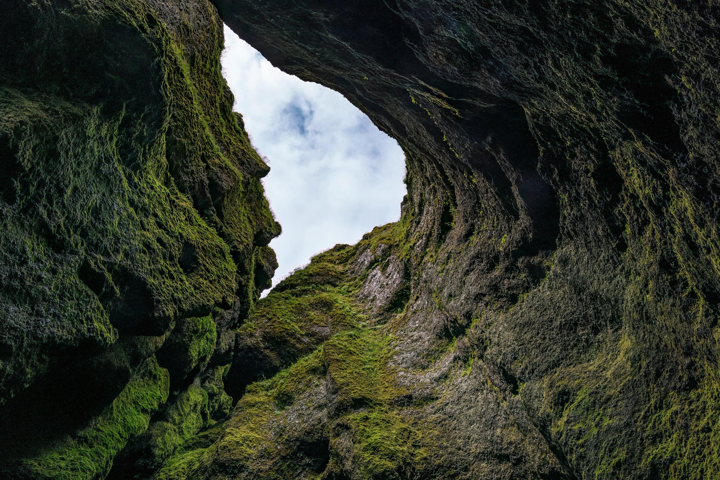 Looking up from a moss-covered canyon at the sky.