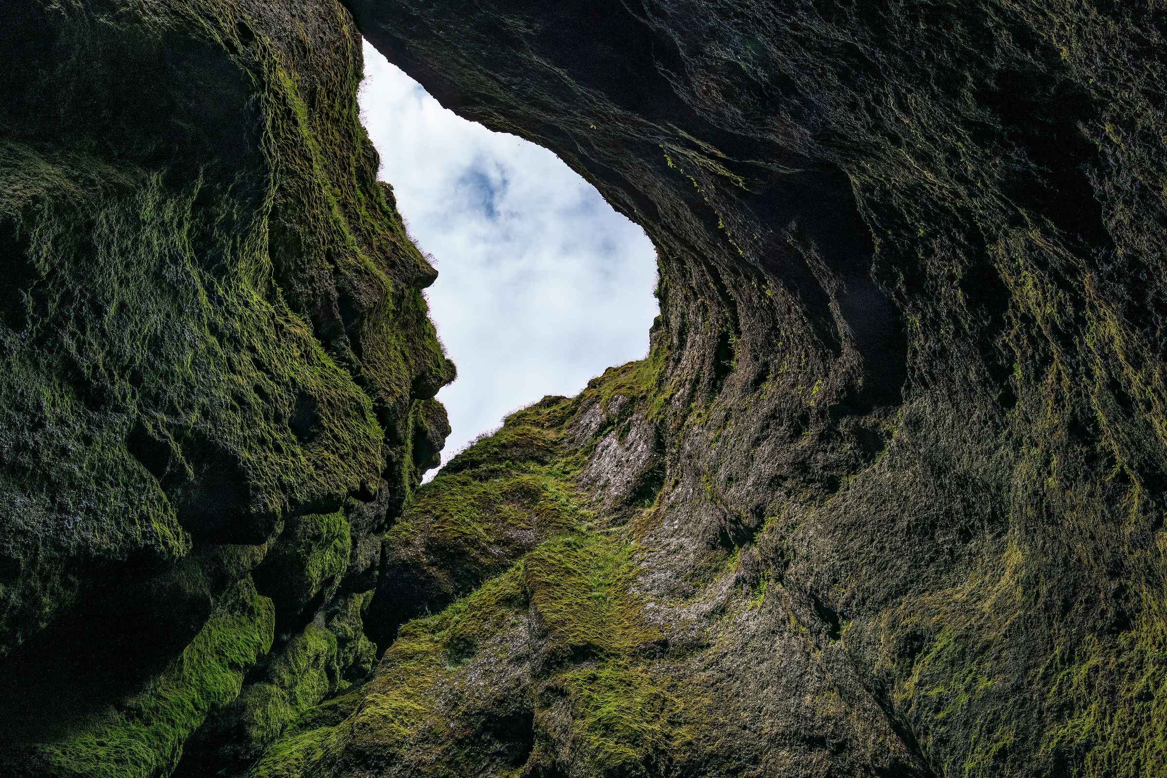 Looking up from a moss-covered canyon at the sky.