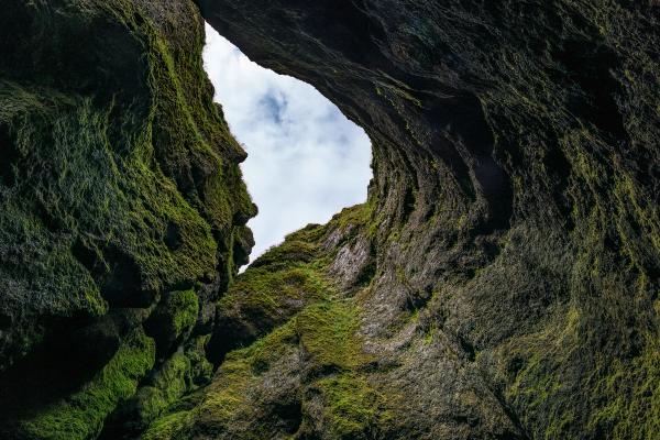 Mirando hacia el cielo desde un cañón cubierto de musgo.