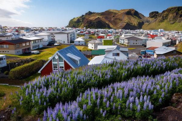 Vestmannaeyjar in Iceland