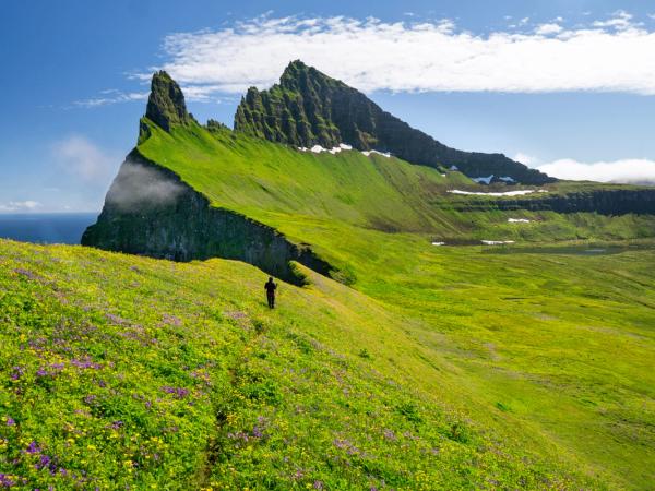 a person walking on a lush green cliff on a sunny day