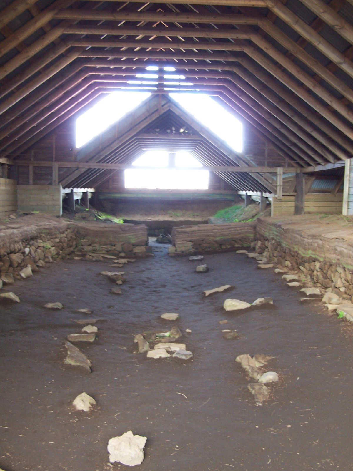An indoor archaeological site with dark soil, stone foundations, and a high wooden beam roof with bright back windows.
