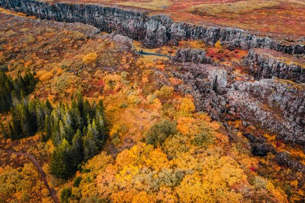 an aerial view of a forest surrounded by rocks and trees in autumn .