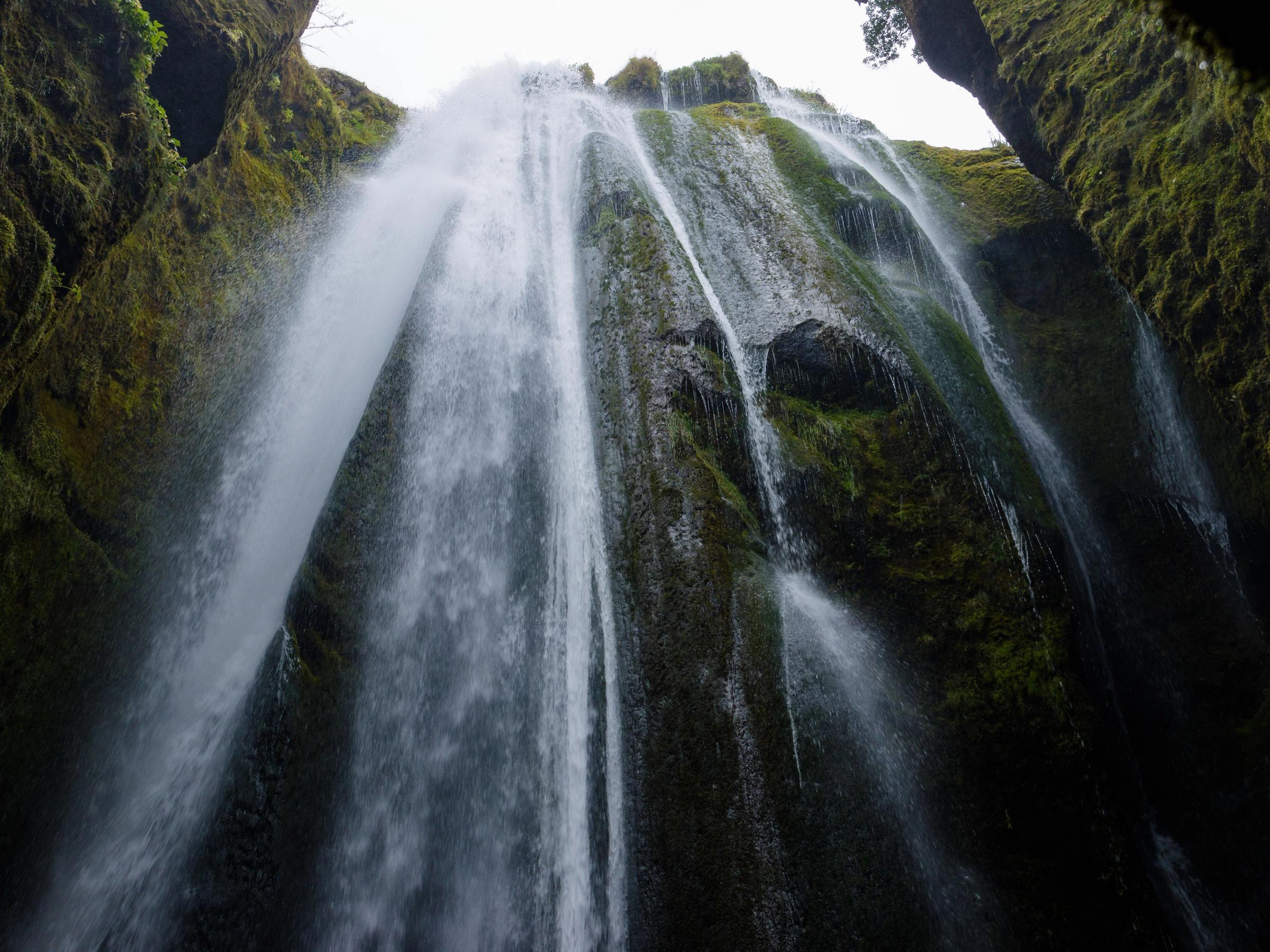 a waterfall is coming down a cliff in the middle of a forest .