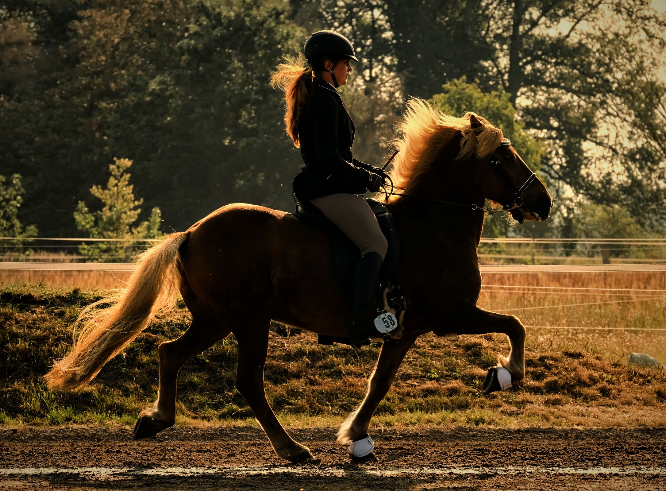a woman is riding a brown horse in a field .