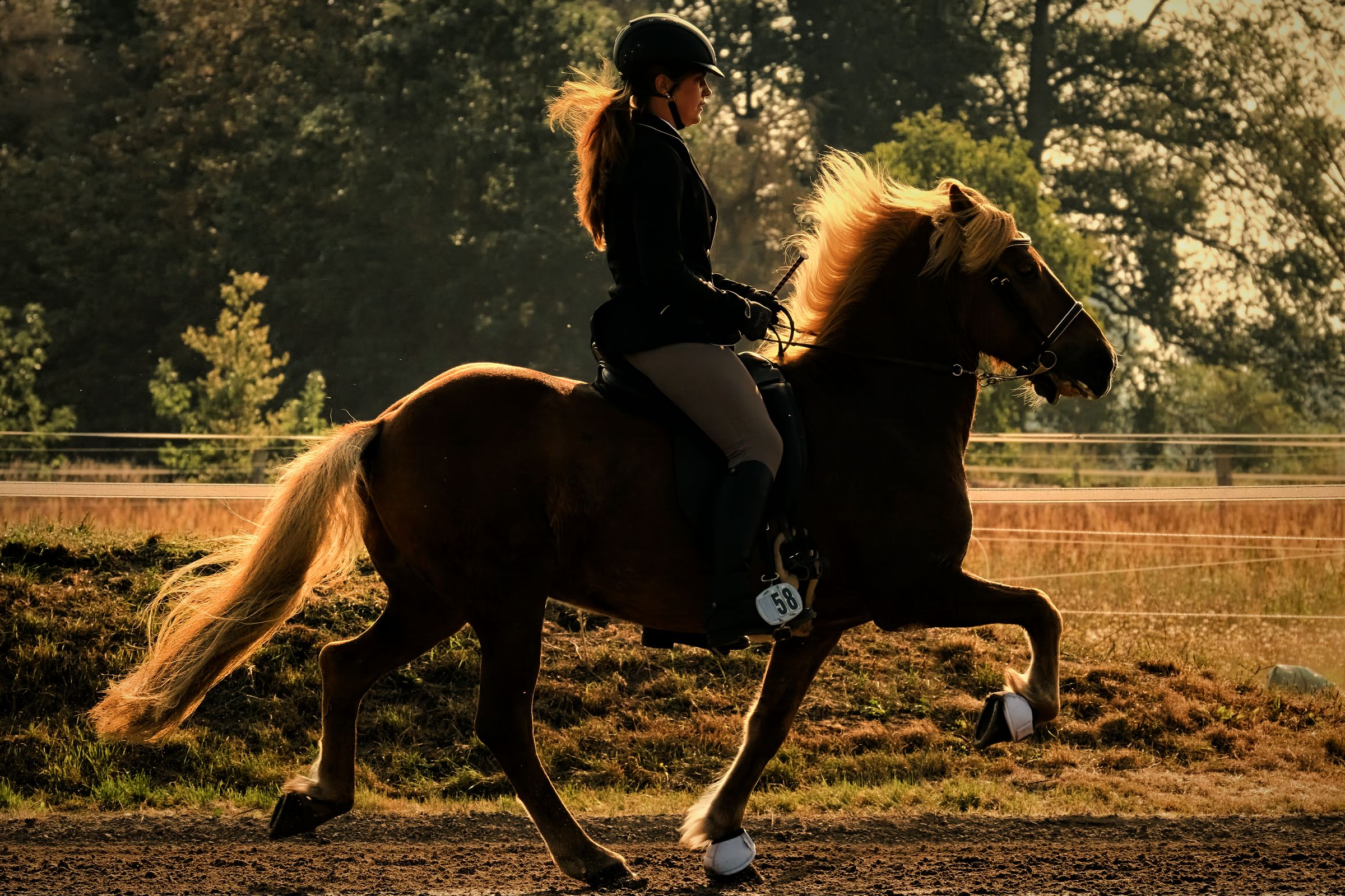 a woman is riding a brown horse in a field .