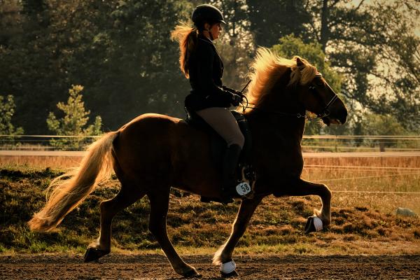 a woman is riding a brown horse in a field .