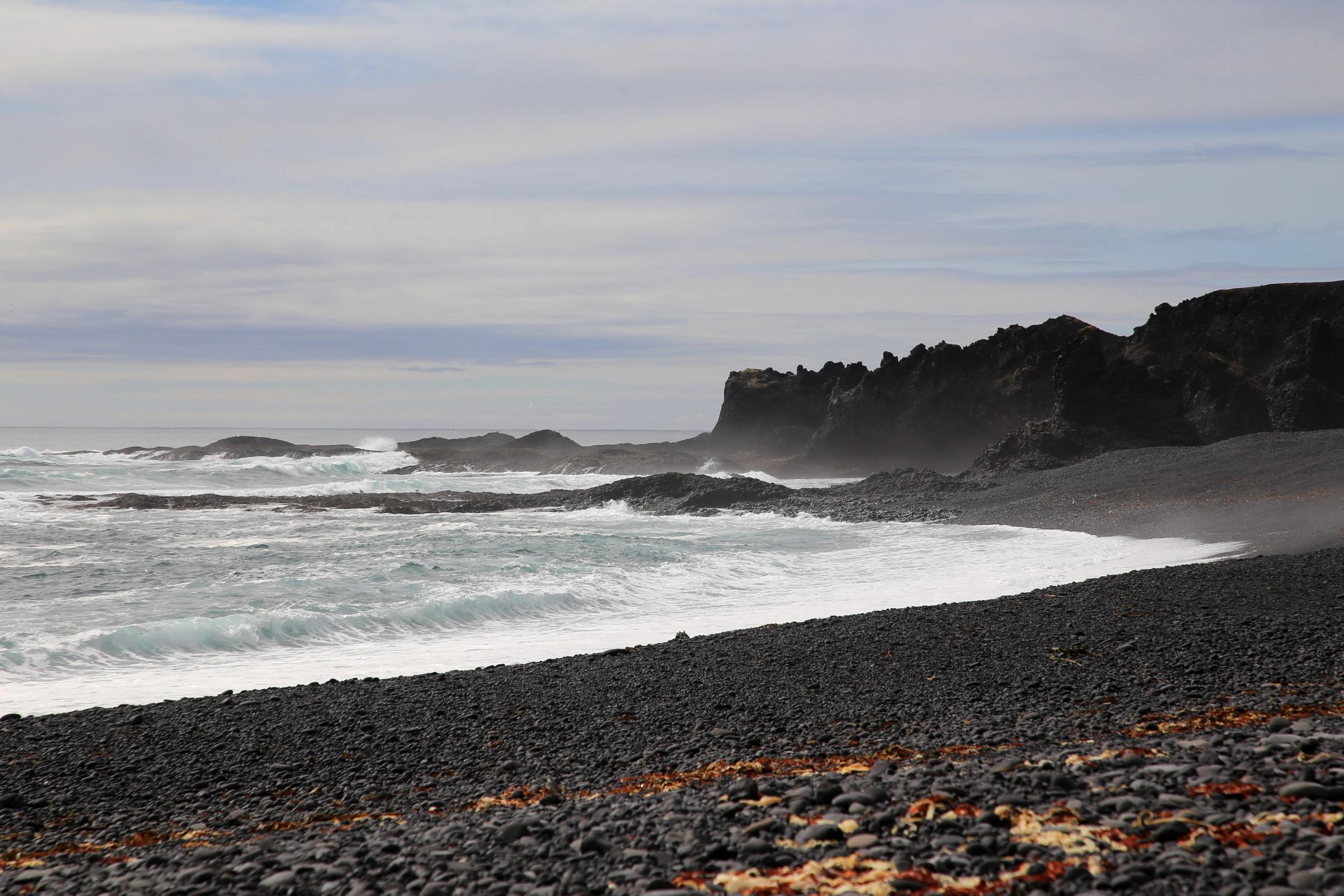 a black sandy beach with waves crashing against the rocks on a cloudy day .