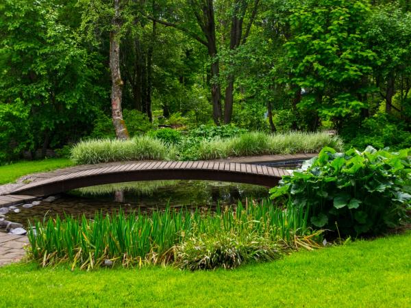 A wood bridge on top of a pond