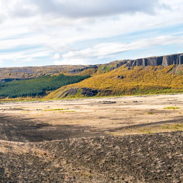 A road curves through a golden autumn landscape with a dark green forest and a flat-topped cliff under a cloudy sky.