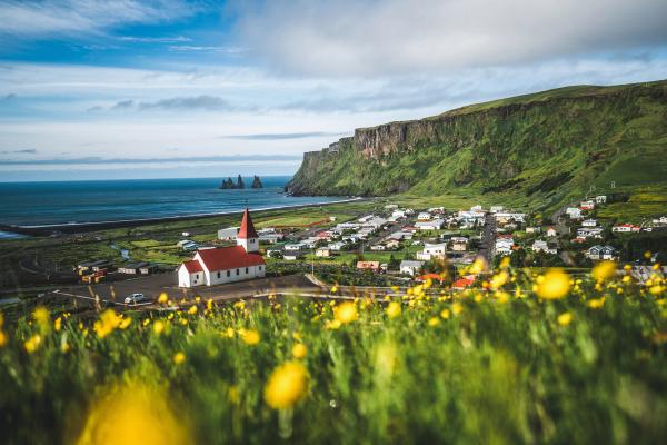 there is a church in the middle of a field of yellow flowers,Vik