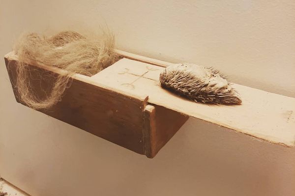 a wooden box with a feather in it is sitting on a shelf .
