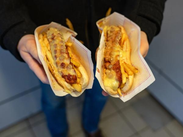 a person is holding two hot dogs with french fries in their hands .