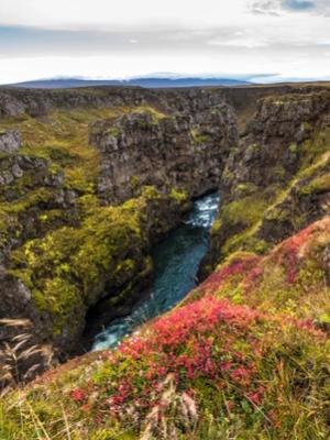Un profundo cañón rocoso con un río que lo atraviesa, con musgo verde y un follaje rojo intenso en primer plano.