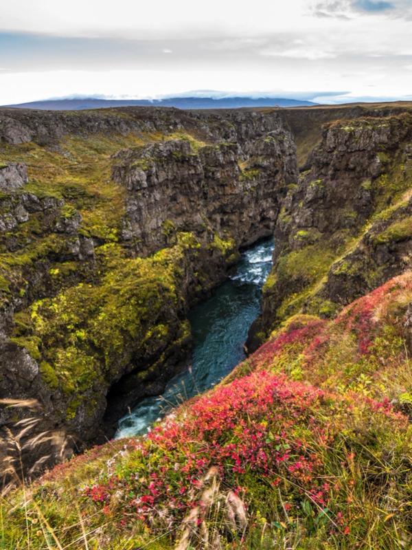 A deep, rocky canyon with a river flowing through it, featuring green moss and bright red foliage in the foreground.