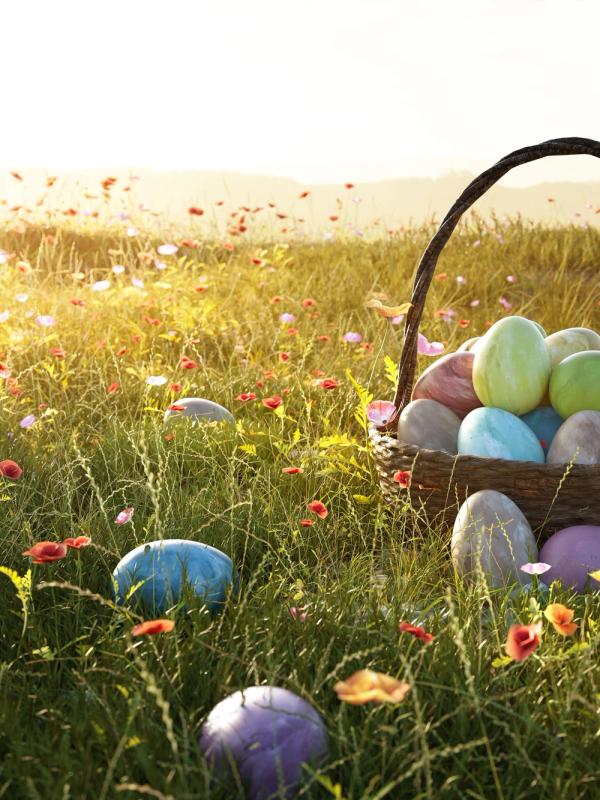 Basket of easter eggs in a field