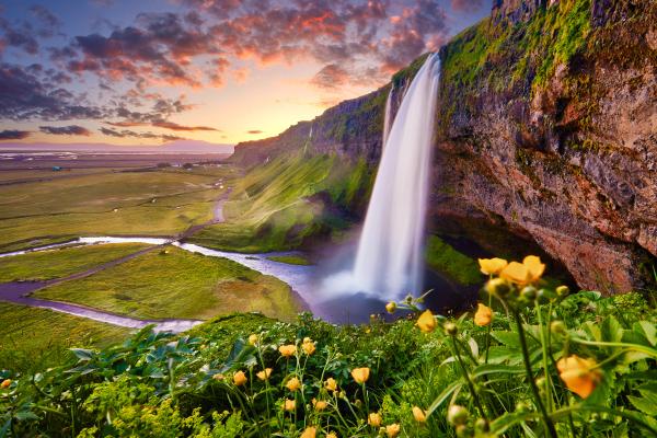 a waterfall in the middle of a field with flowers in the foreground .