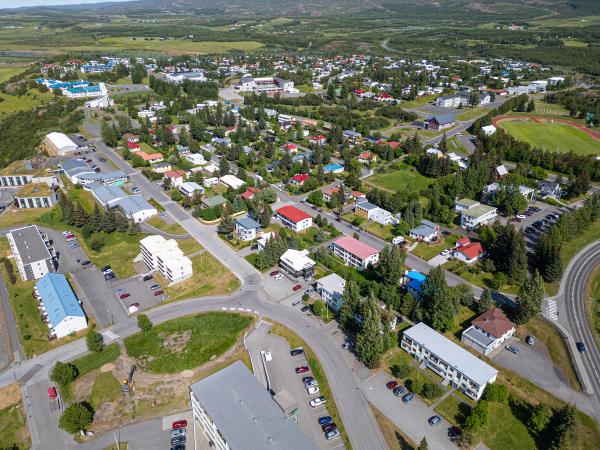 Aerial view of a green town with houses, roads, numerous trees, a sports track, and distant mountains.