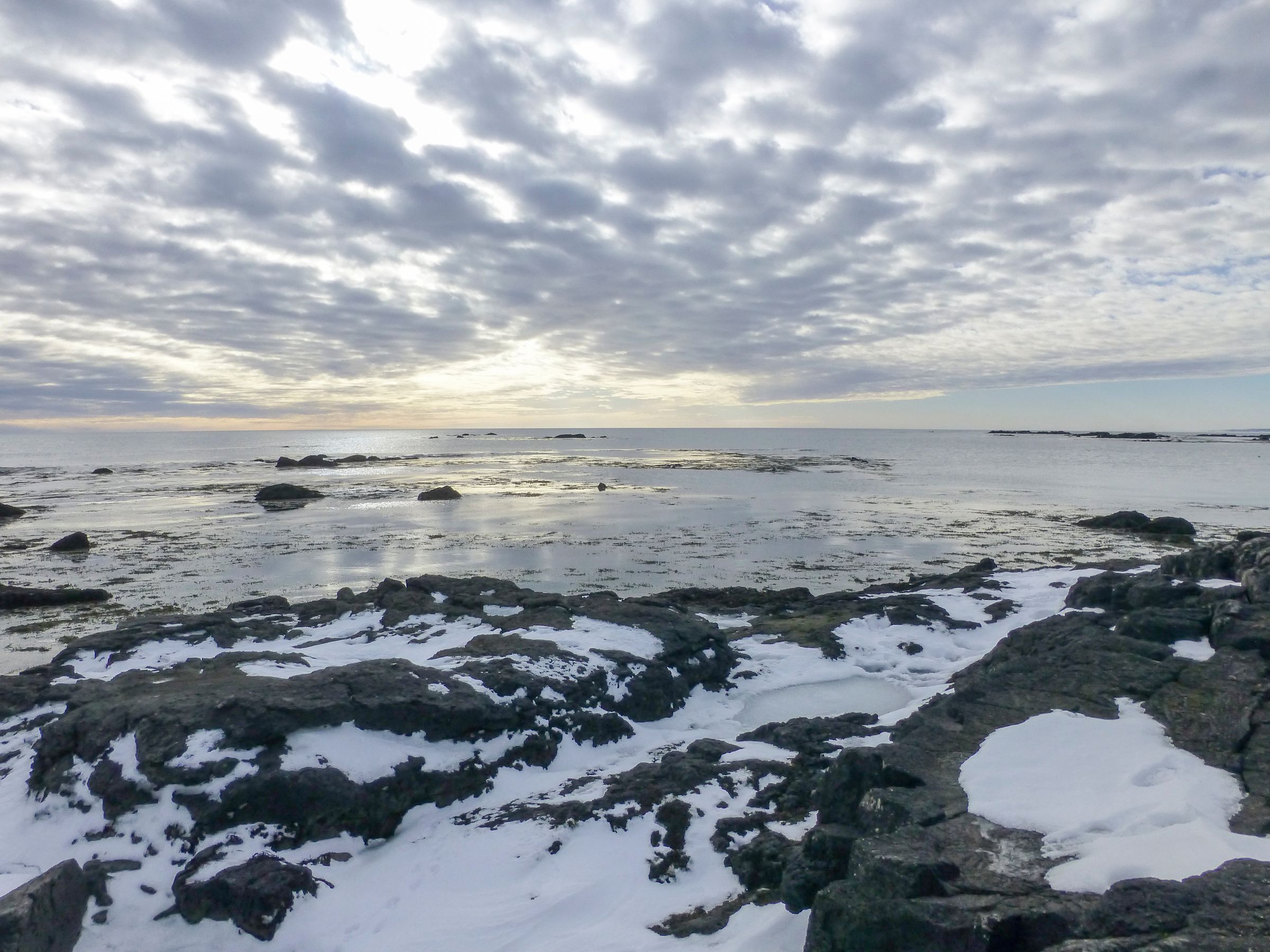 Guide to Ytri Tunga Beach: A Seal Watching Paradise in Iceland
