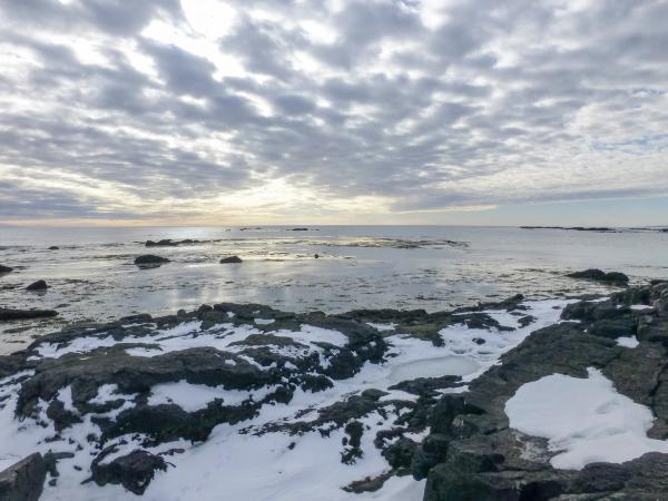 playa de Ytri Tunga con nieve durante el invierno