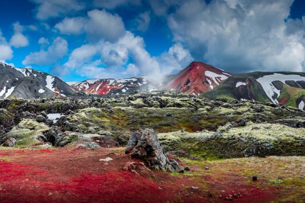 a panoramic view of a landscape with mountains in the background and a tree stump in the foreground in iceland.