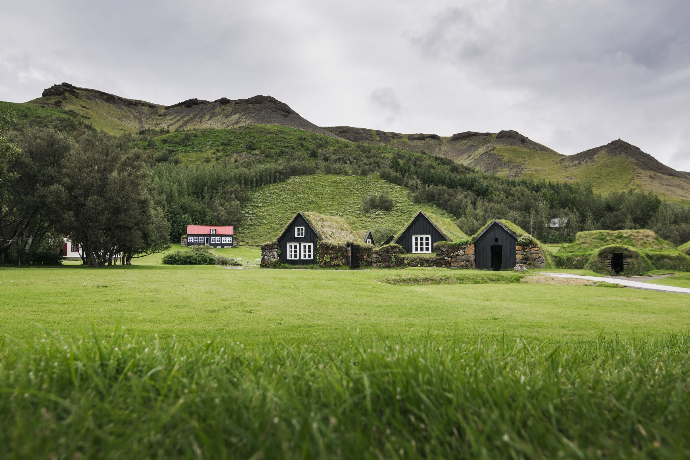 casitas de madera oscura cubiertas de musgo verde en un campo de hierba verde y colinas verde al fondo