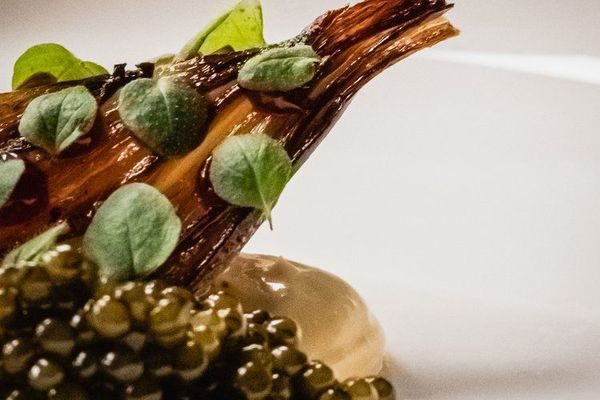 North restaurant Iceland An elaborate and particularly beautiful chef's dish