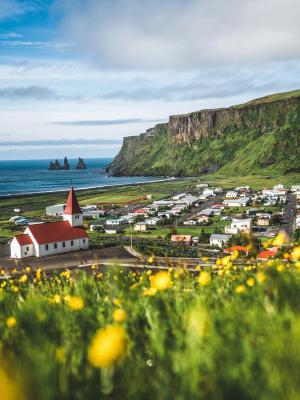 there is a church in the middle of a field of flowers .