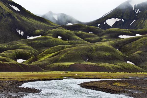 a river runs through a grassy field surrounded by mountains .
