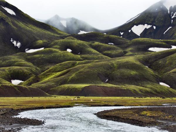 landscape with soft hills completely cover by green moss and a river in the foreground
