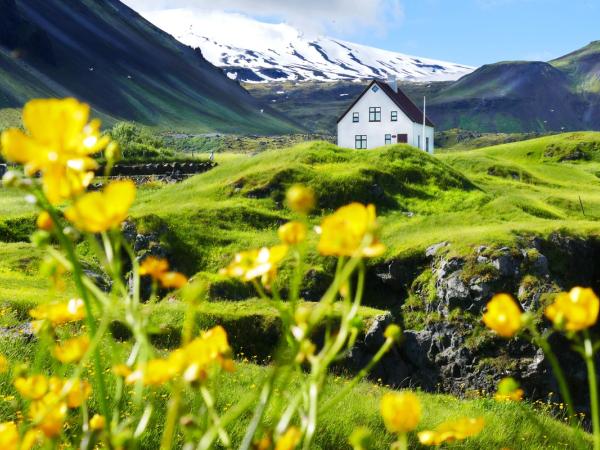 Casa blanca en Arnarstapi en verano