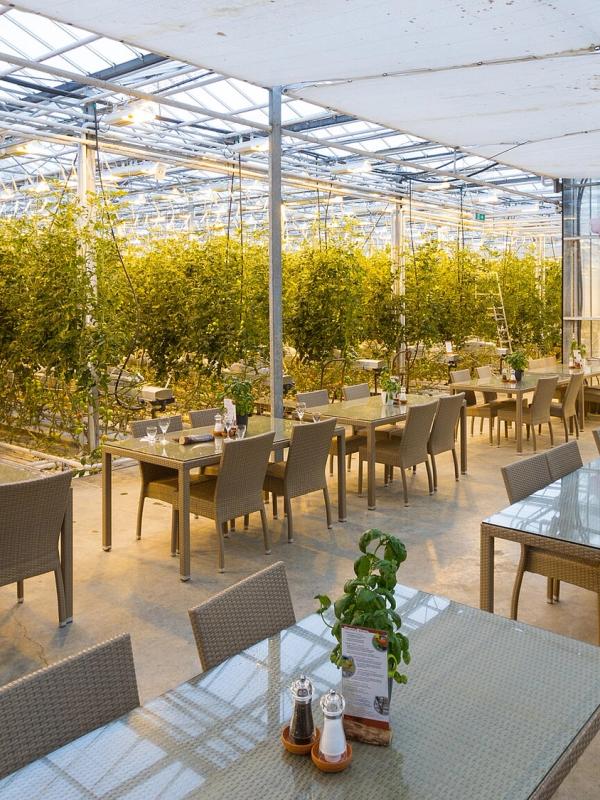 Greenhouse dining area with rows of green plants, tables, and chairs.