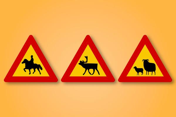 a man riding a horse , a deer , and a sheep are on the signs .